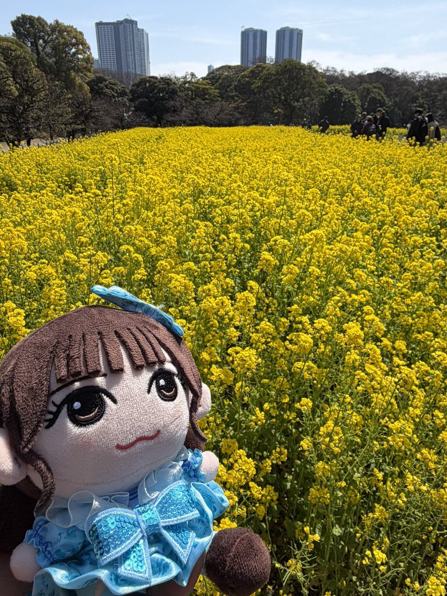 けーけ tweet media