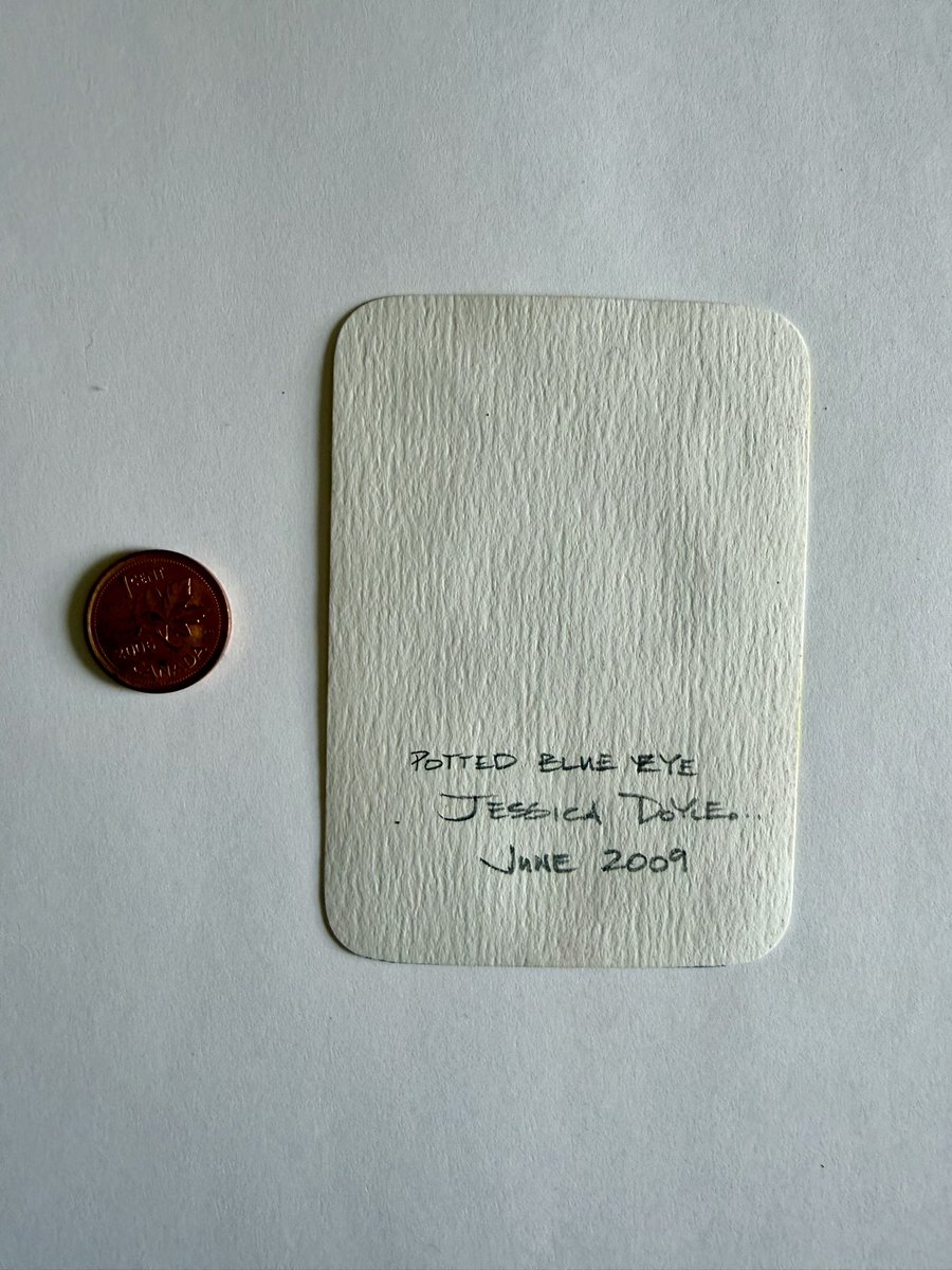 Mispec Mama tweet media