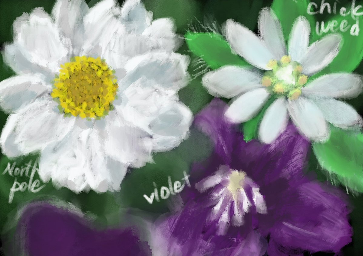 しおん tweet media