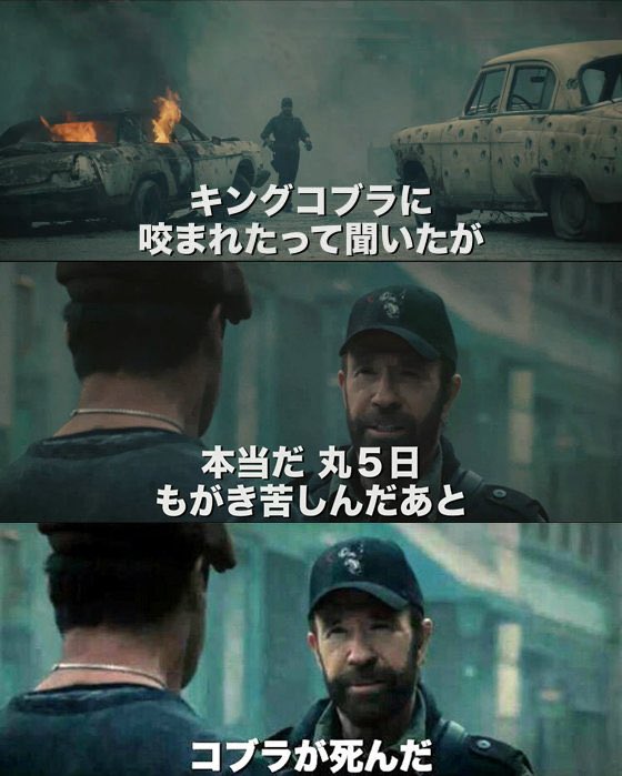 鰐軍壮 tweet media