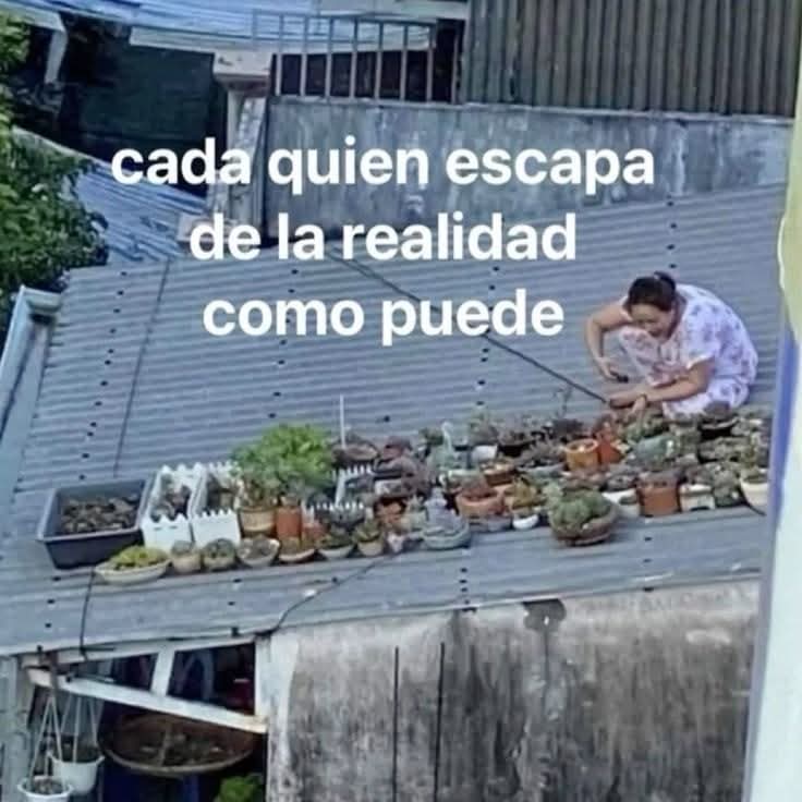 Paisajes del Mundo tweet media