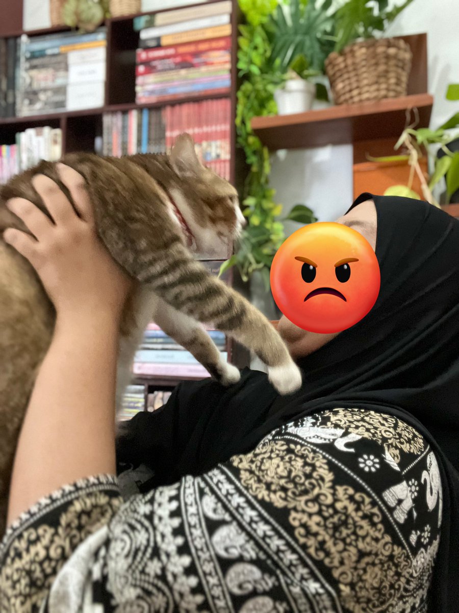 Ciyeng 🌻 tweet media