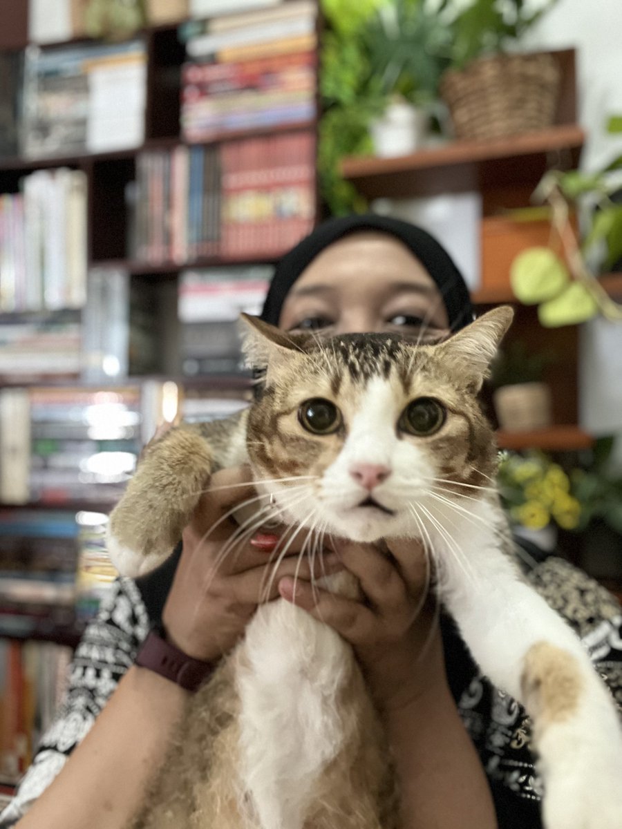 Ciyeng 🌻 tweet media