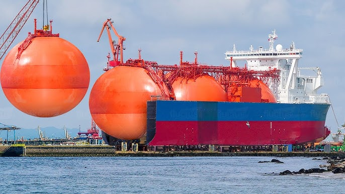 NoCap 🐈⬛ tweet media