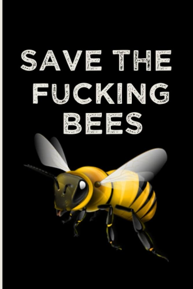 Braden Keith tweet media