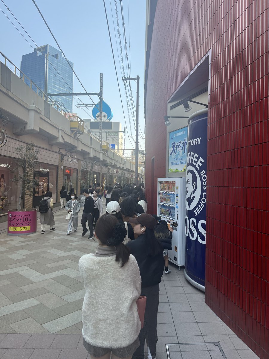 ねこさん tweet media