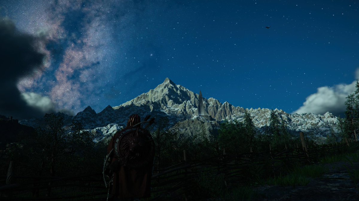 Lorenzo Grajales tweet media