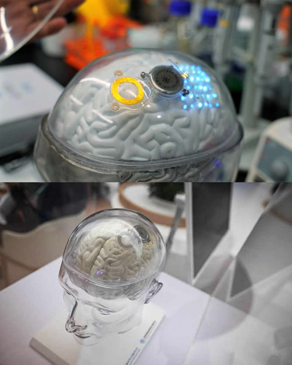 Le Contemplateur tweet media