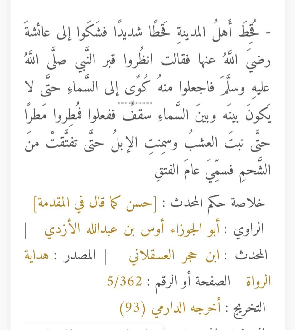 البغدادي العقيلي tweet media