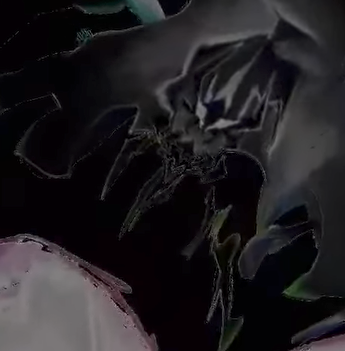 homulily ⚔ BUTCH SILENT SALT tweet media