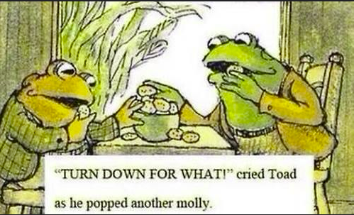 Skiddzzo tweet media