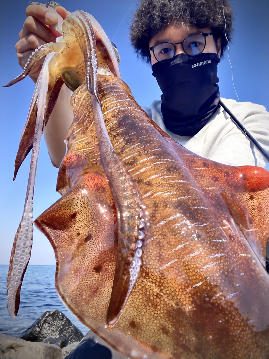 glove_fishing's tweet photo. 近場のサーフポイントへ
1.8キロナイスガイが来ました🦑
#アオリイカ
#エギング
#エギンガー https://t.co/HB3A80wqW9