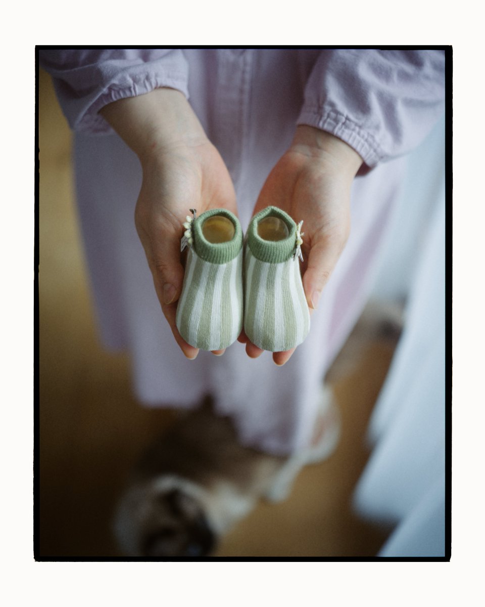 🌲🌲 tweet media