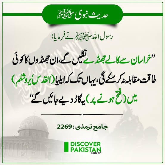 ALI 🕌 tweet media