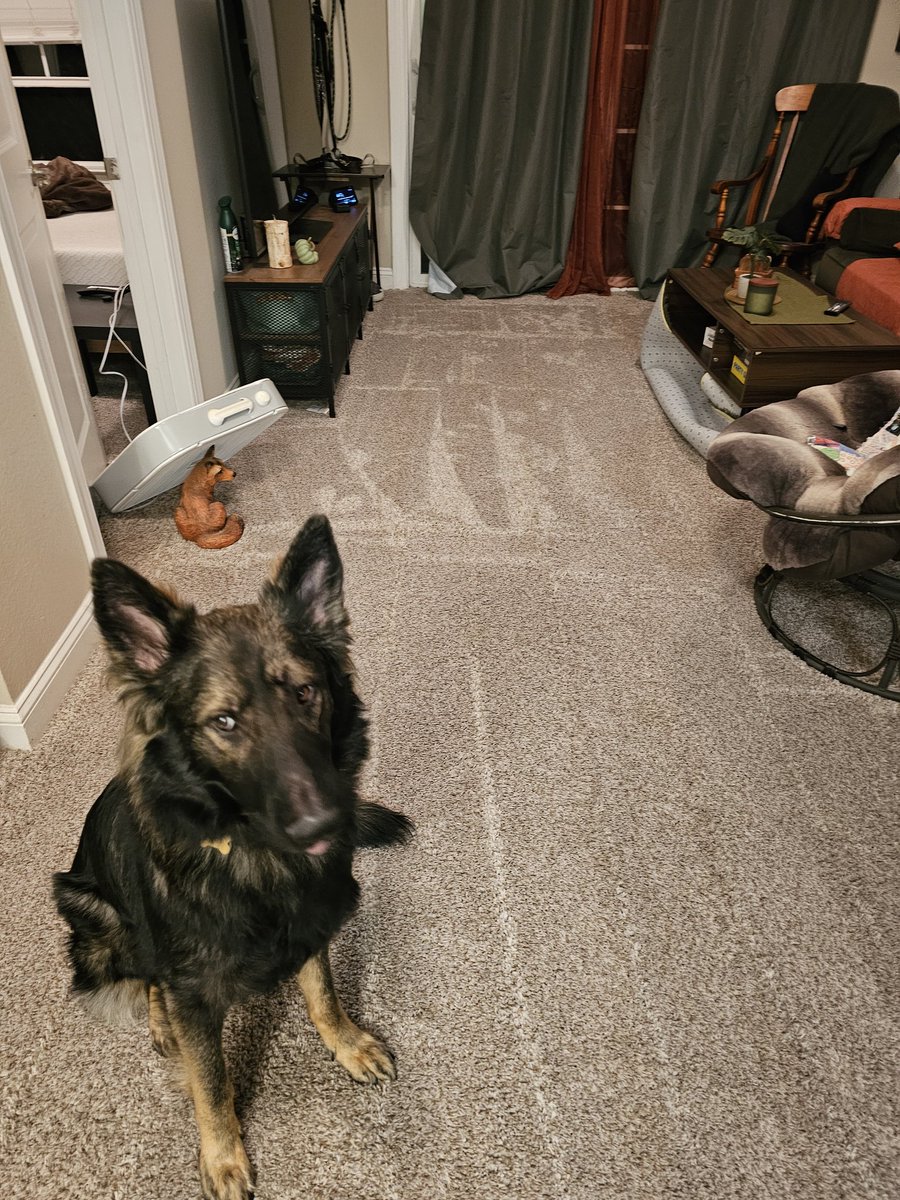 Dexter Allagahrei tweet media