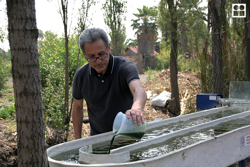 Instituto de Ingeniería tweet media