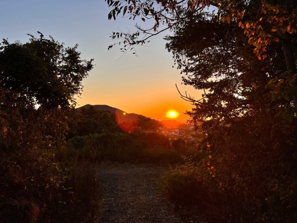 コスナビ tweet media