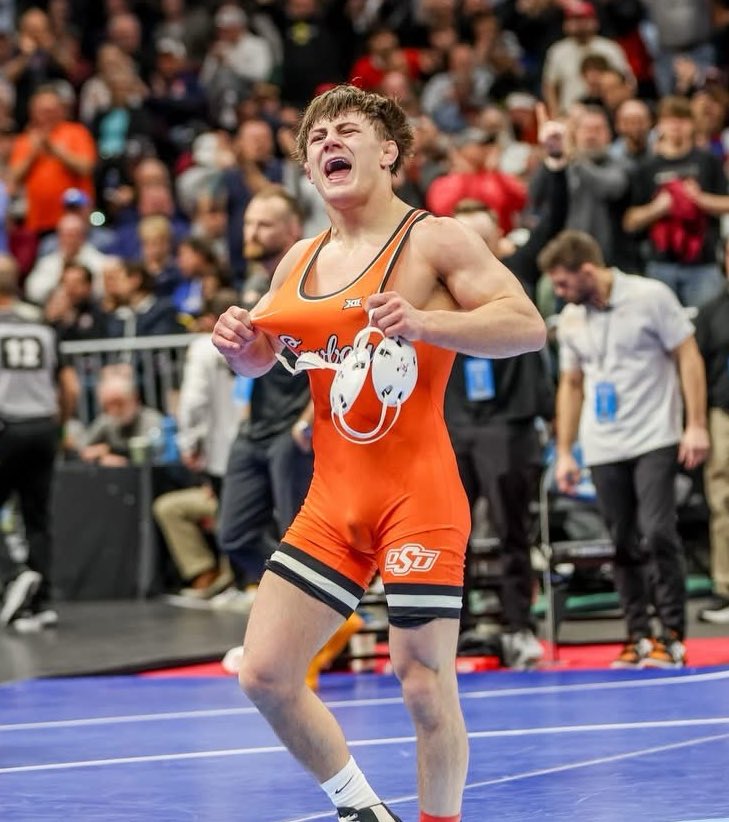 Pokes Insight tweet media