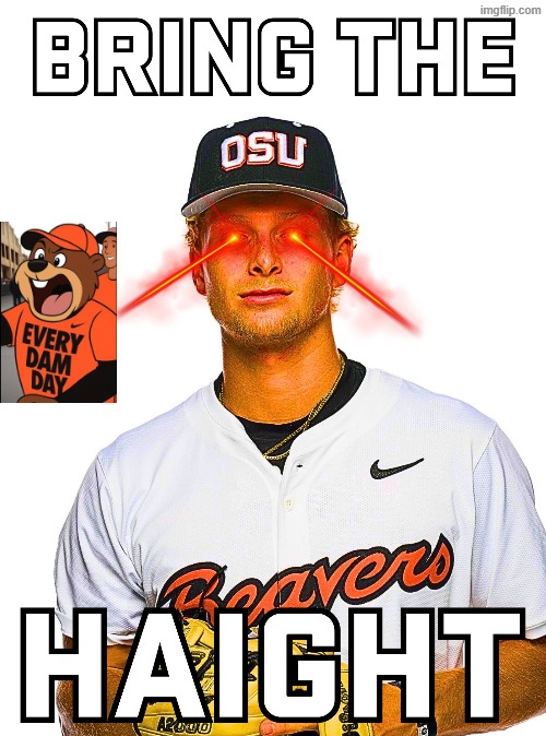 Bruce Waldo tweet media