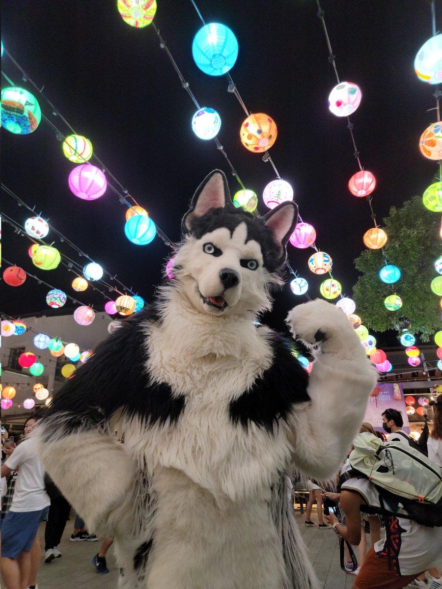 麥林 マグナム 🐺 tweet media