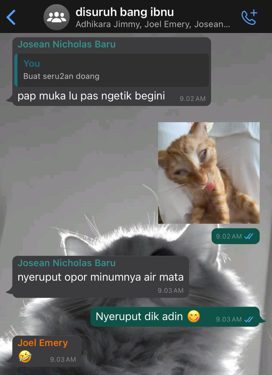 KAY (AKUN LAMA KE SUS) tweet media