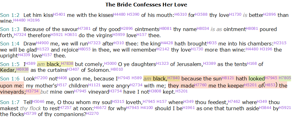 Vans Rechello tweet media