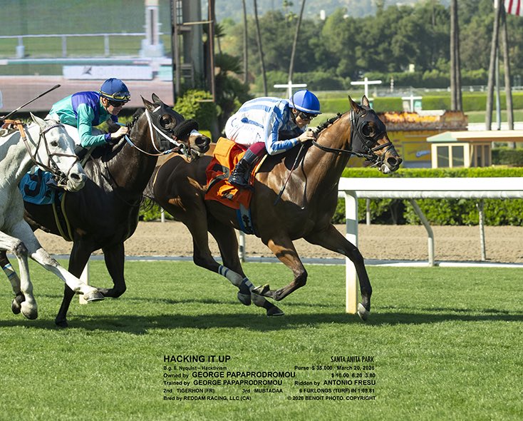 George Papaprodromou Racing tweet media