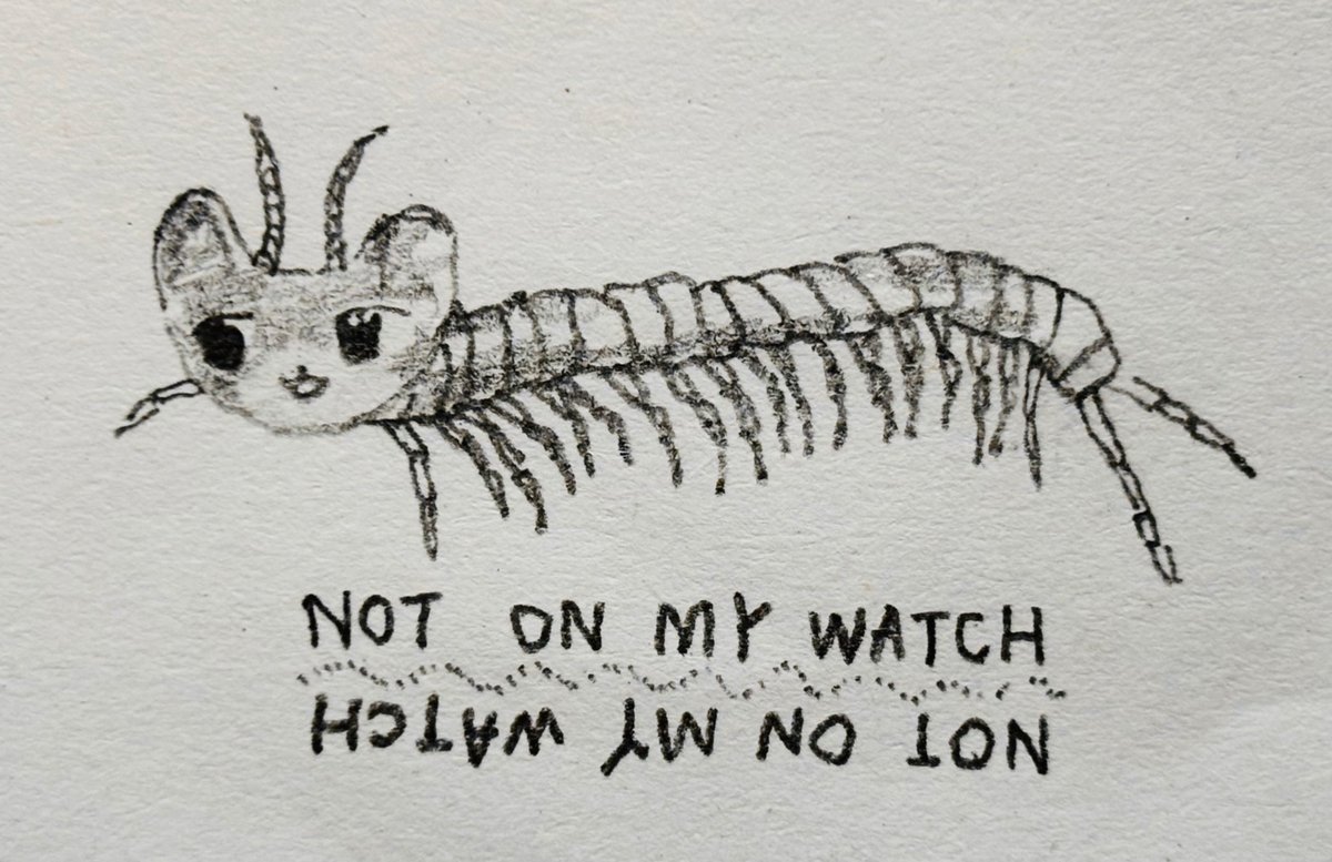 toshoneko tweet media