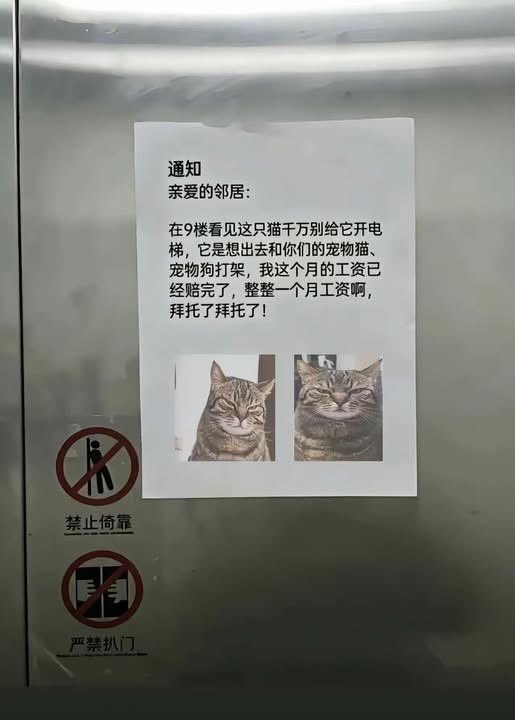 晓语Rainy tweet media