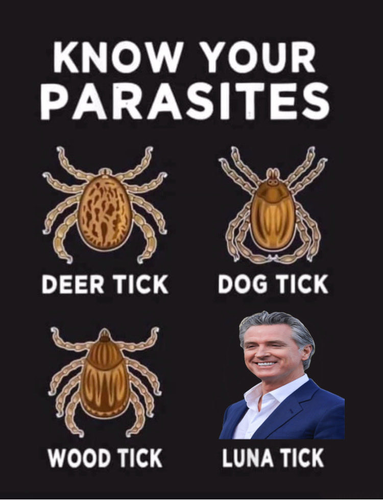 MAGA-PALE tweet media