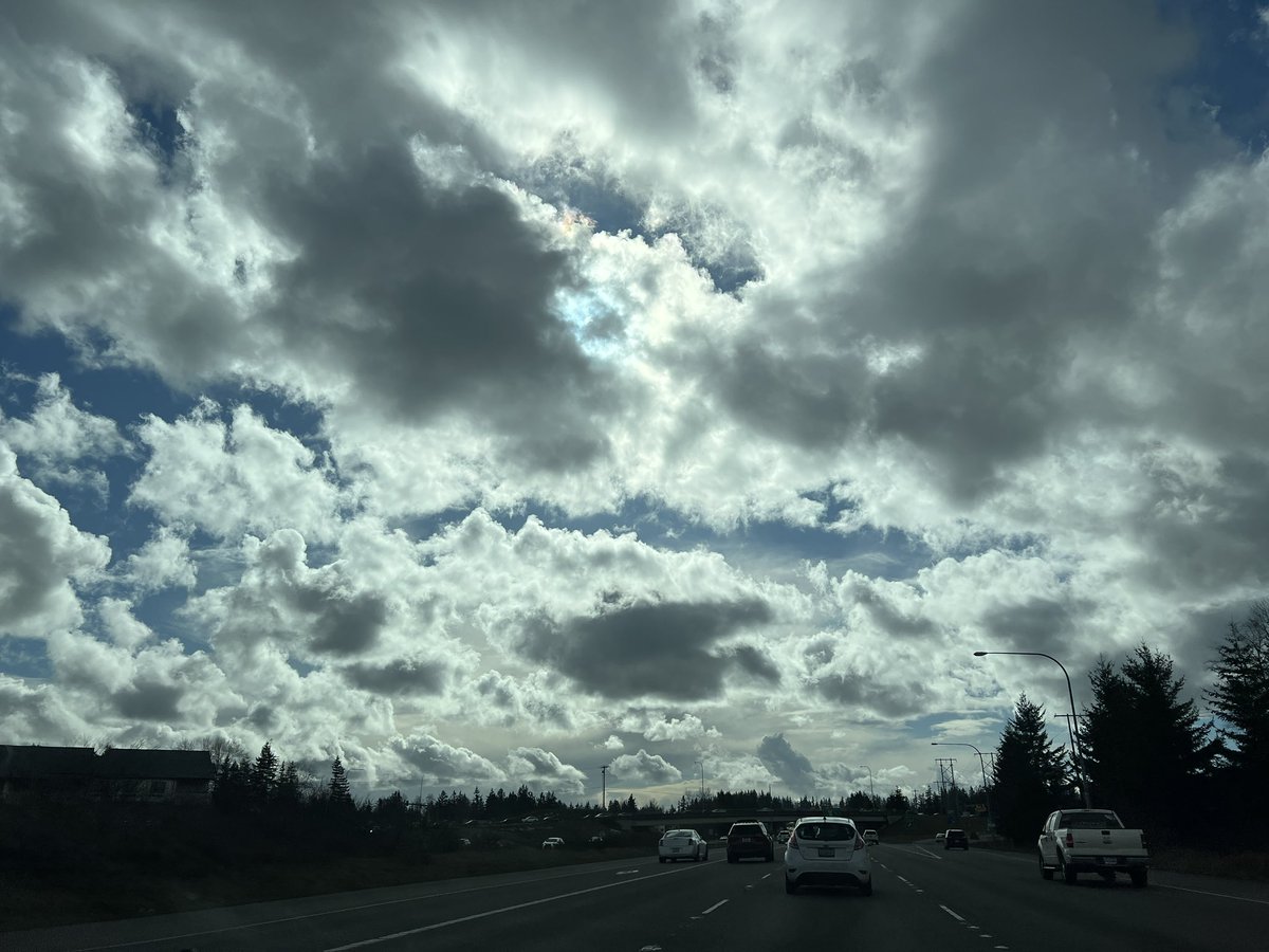 🪻rodeo slim 🎏 tweet media