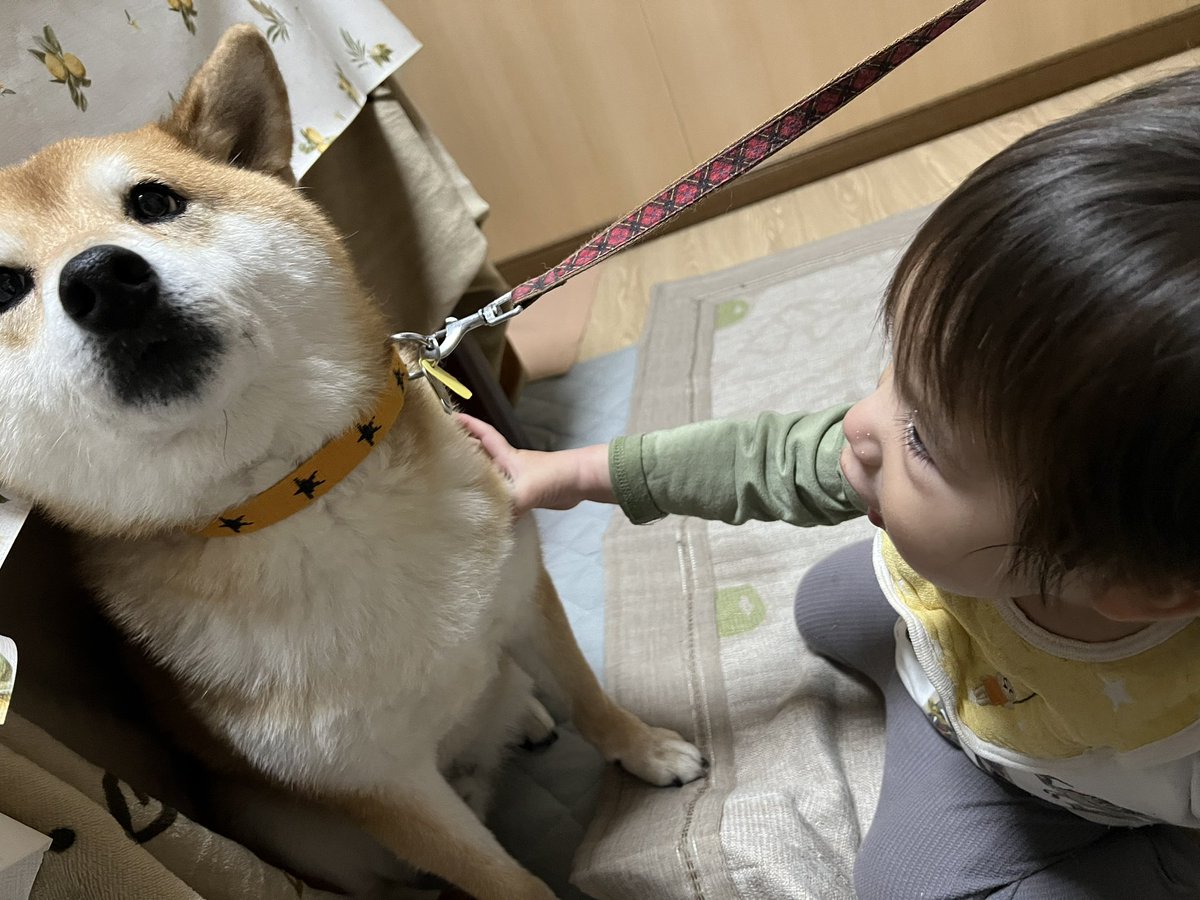 くるっぴー tweet media