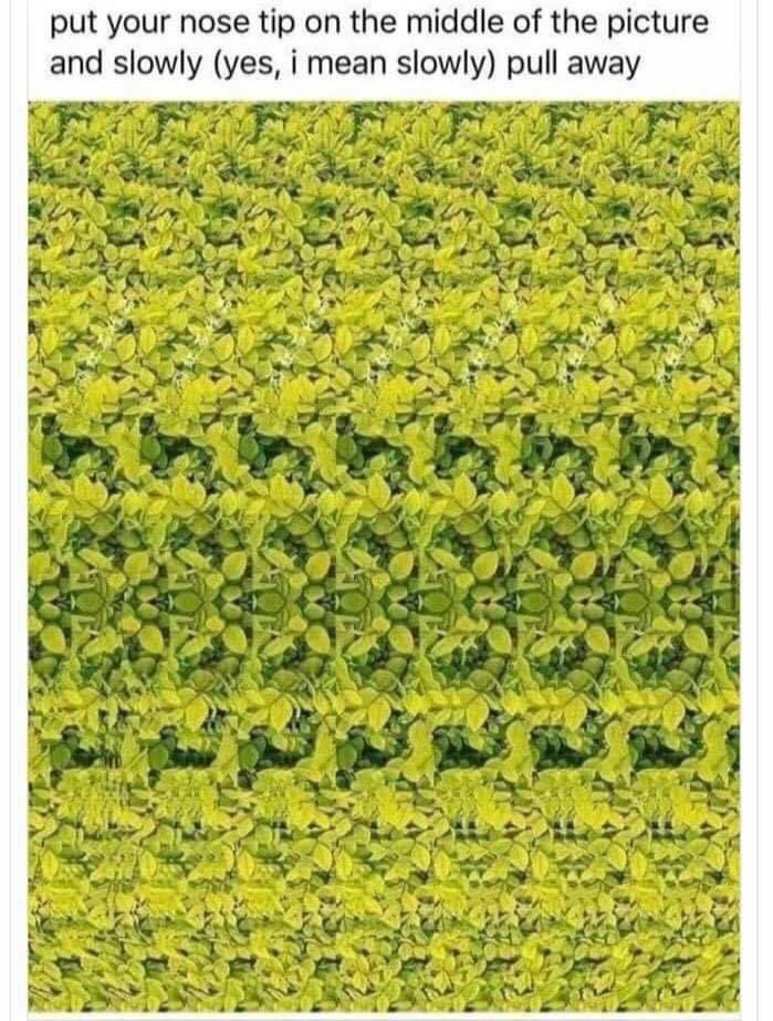 Jeanne-#ENDParentalAlienation #SaveTheChildren tweet media