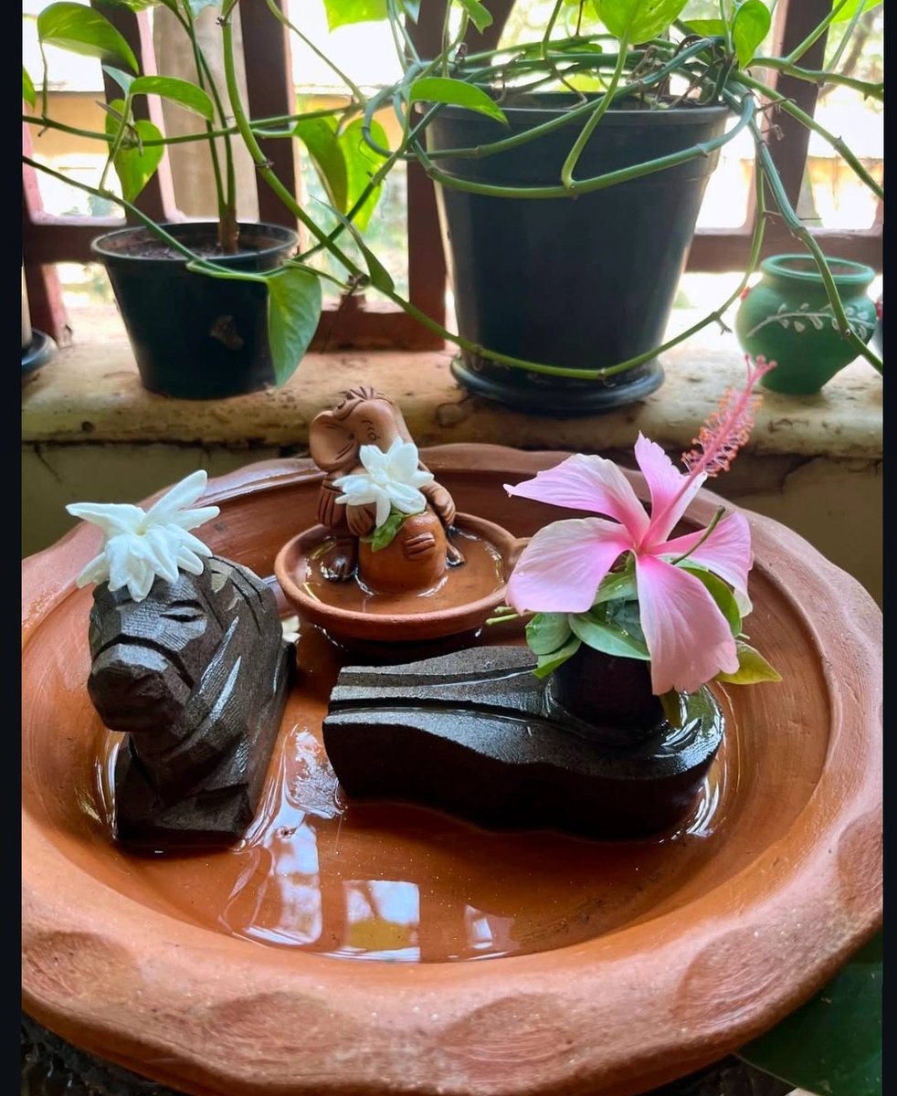 Kirti Priya tweet media