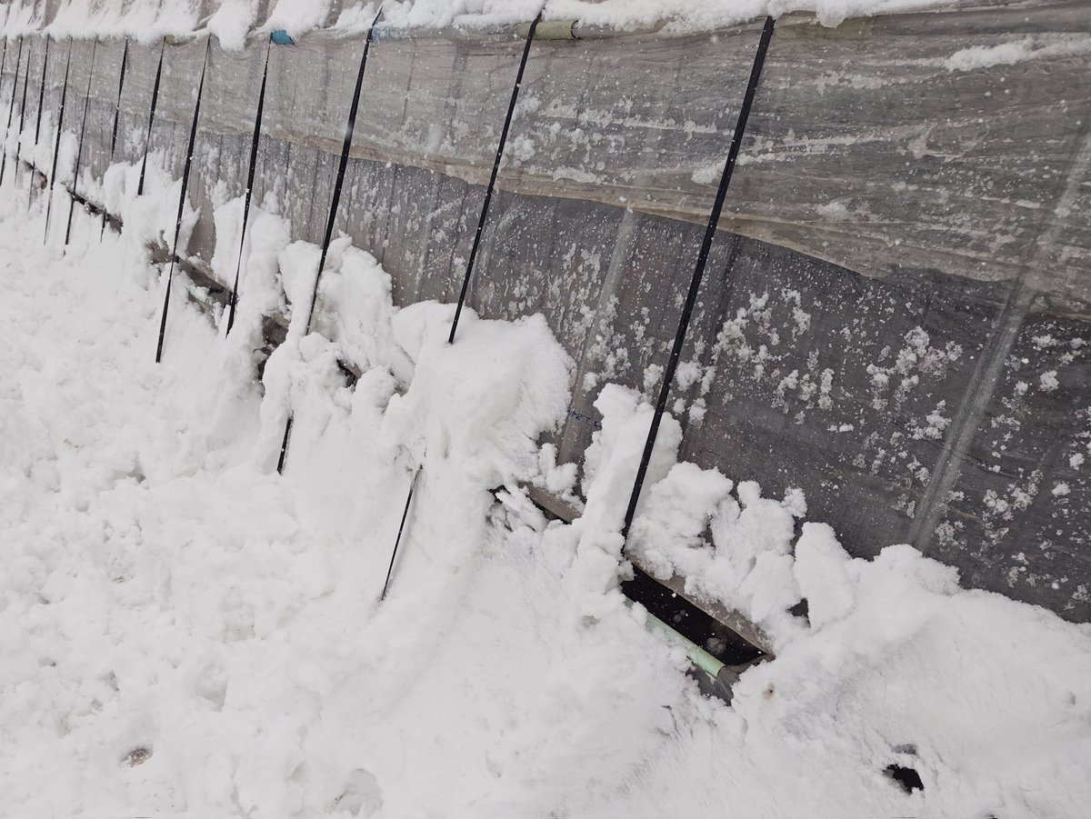 けいちゃん tweet media