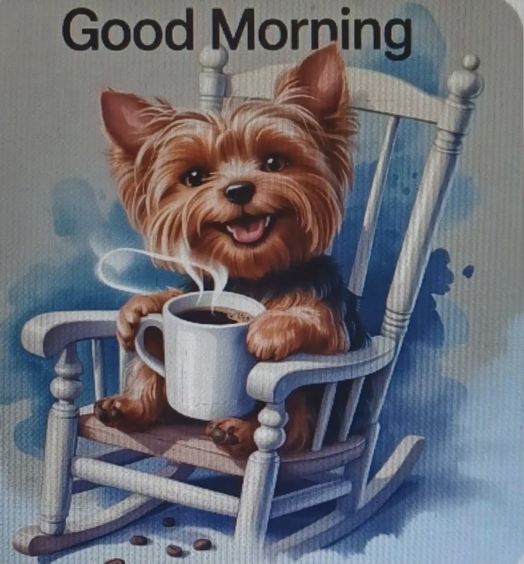 RAVEN NAIDOO 🇿🇦 tweet media