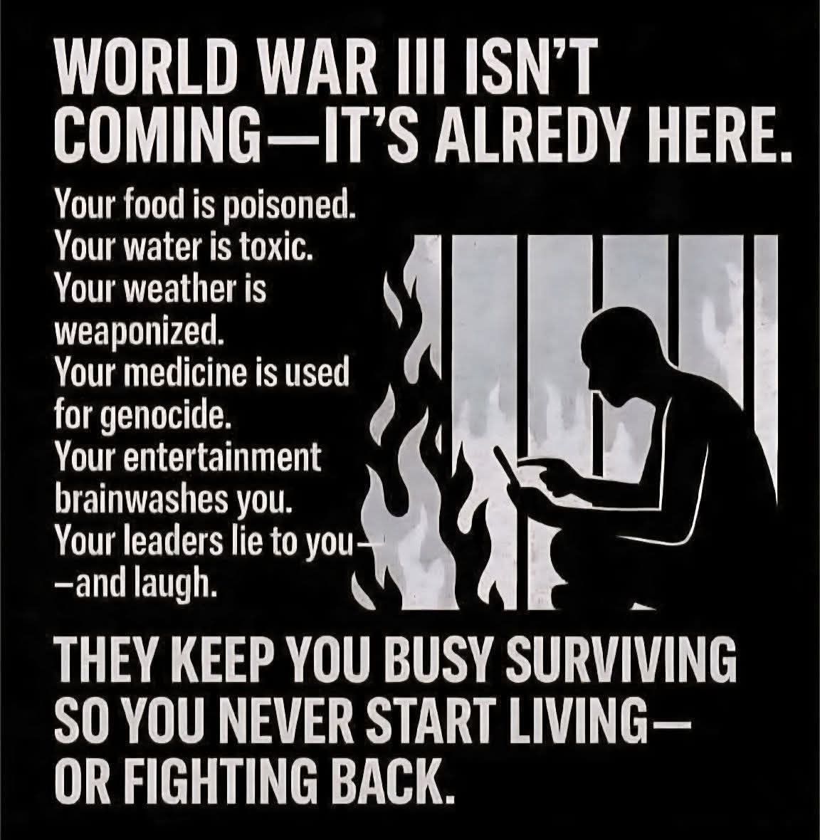 David Wolfe tweet media