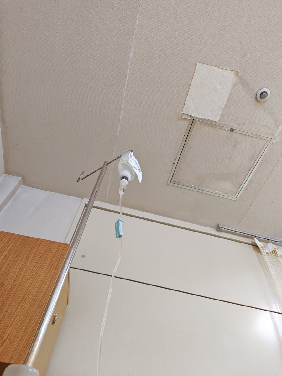 もぐらのしっぽ tweet media