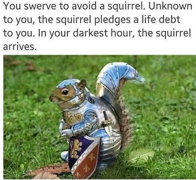 WholesomeMemes tweet media