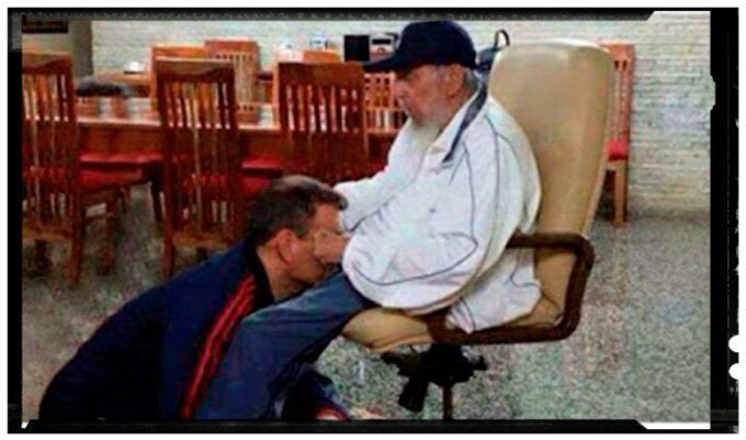 Lucor Kanada. tweet media