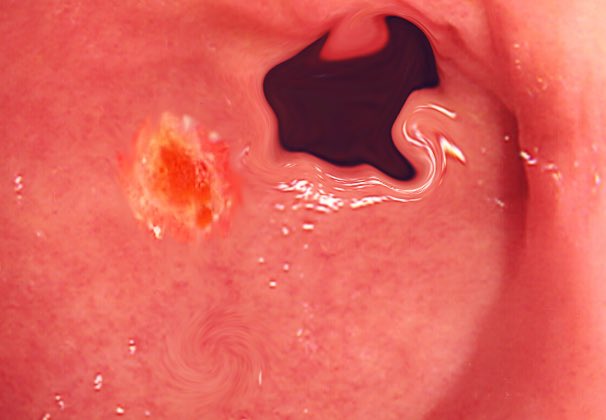 The Body Explained | Anatomy, Physiology, Medicine tweet media