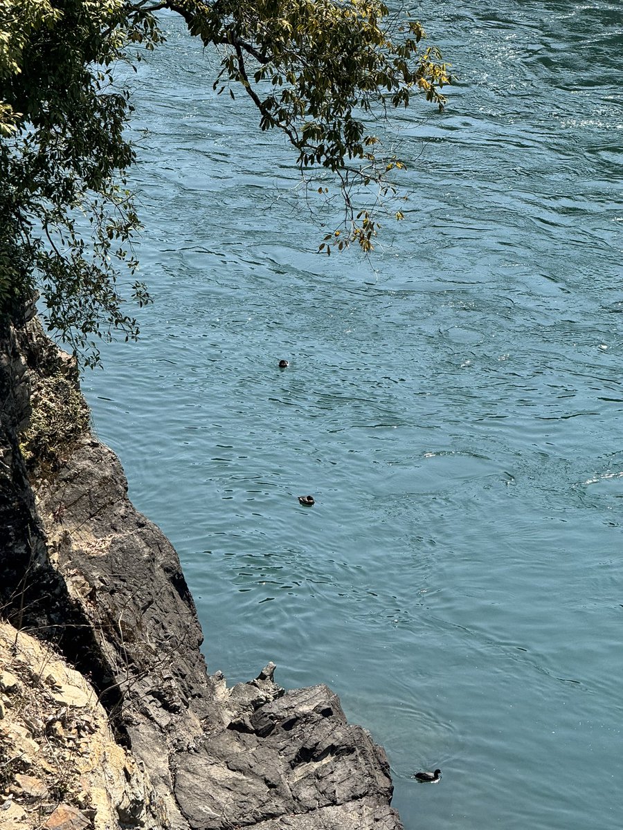 迷子ライダー⛈️ tweet media