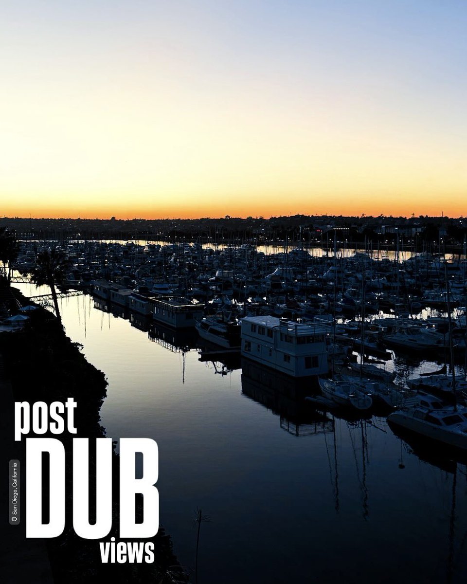 Tyler Knowles tweet media