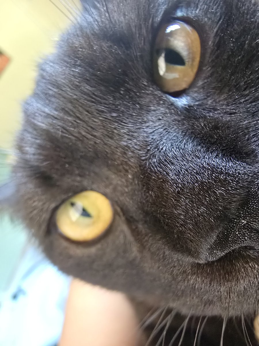 🍋Mänäw🍋 tweet media