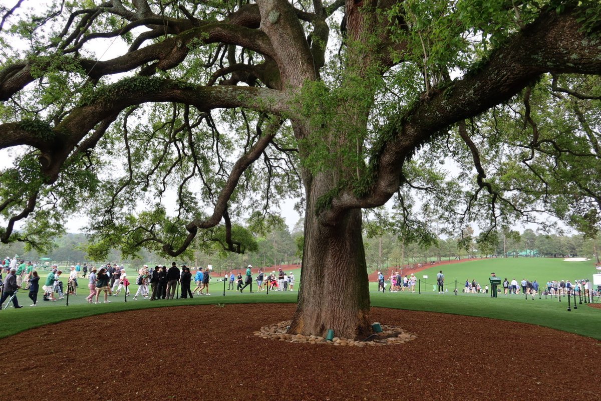 Real Golf Radio tweet media