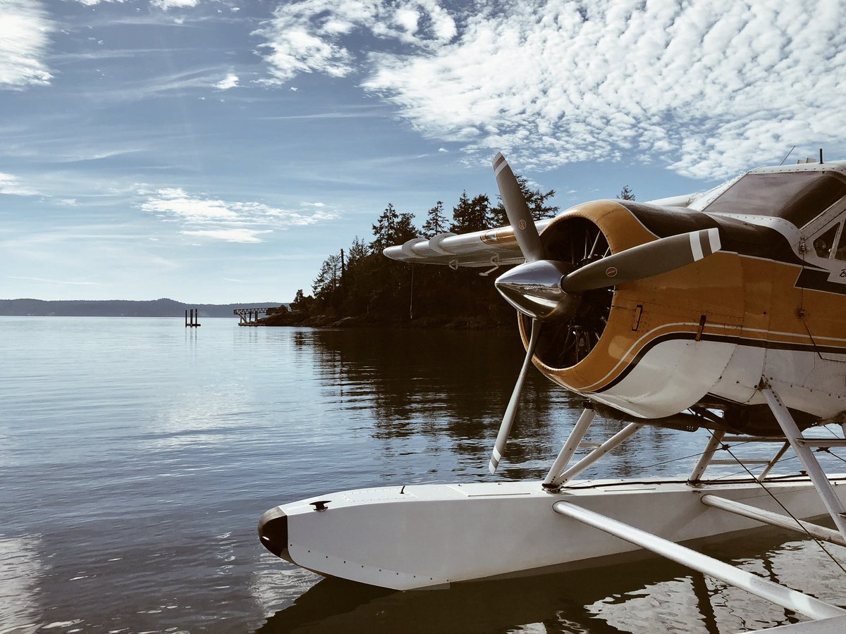 Freedom Enthusiast 🇺🇸 tweet media