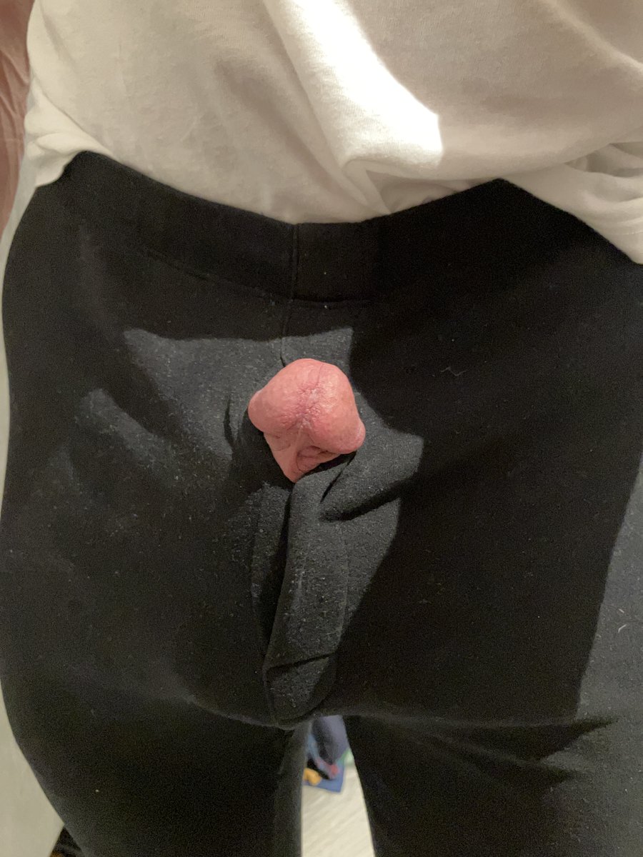 taipeimuscle tweet media