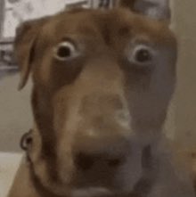 k0re 🫀COMMS OPEN tweet media