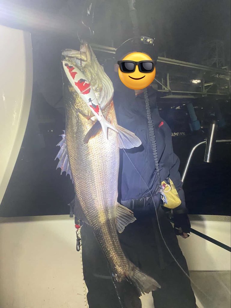 ×sp1n×(すぴんさん) tweet media