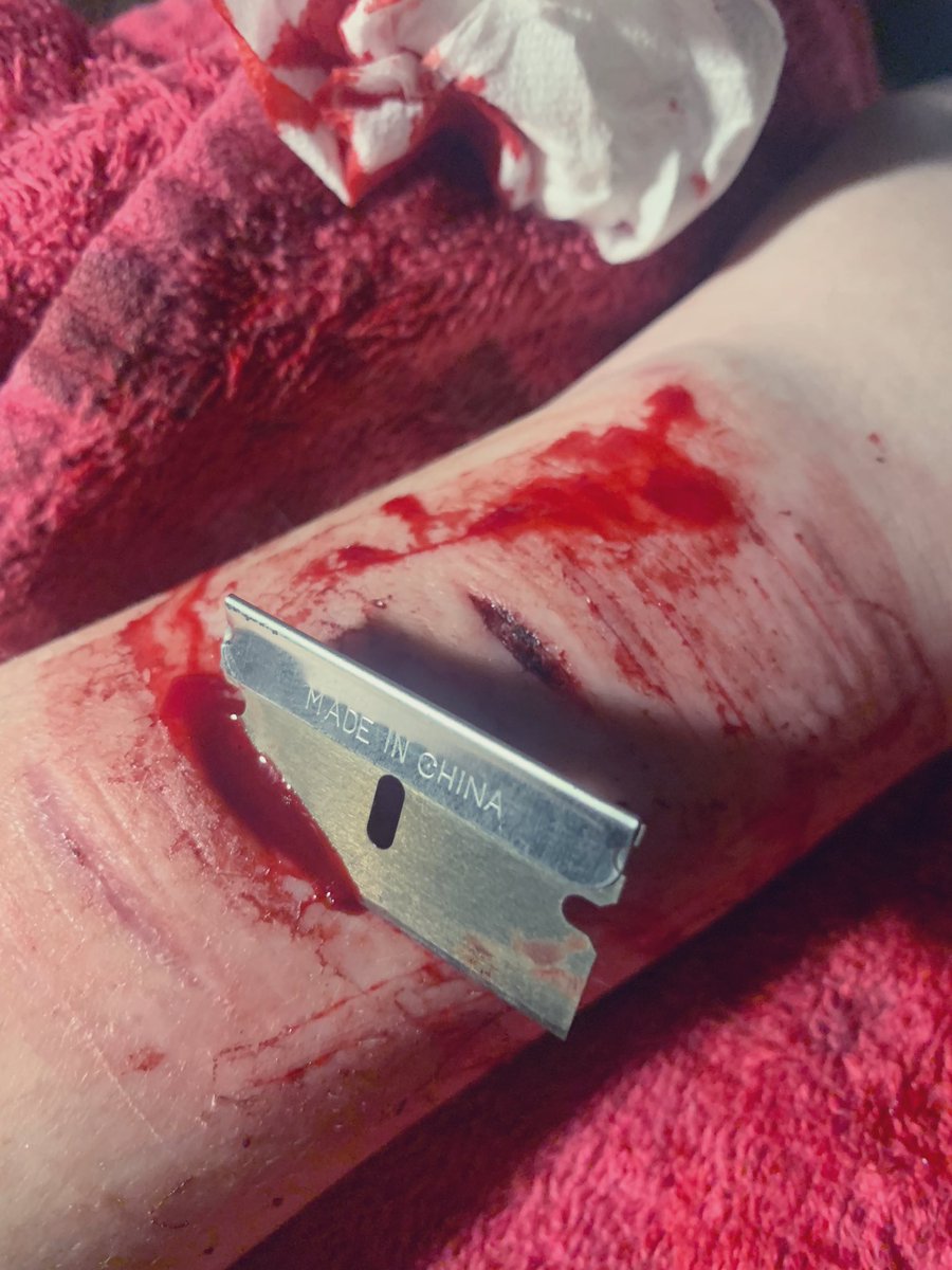 Sans of shedtwt tweet media